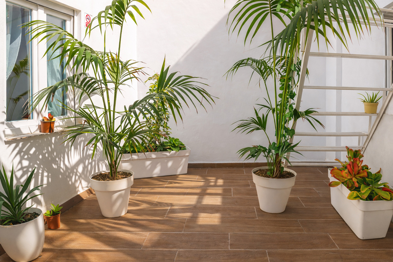 Vita Verde patio