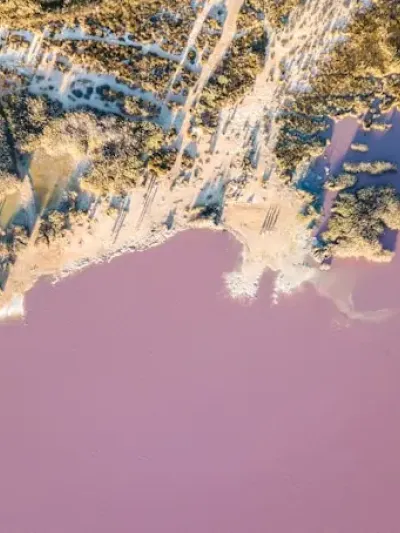 Naturaleza