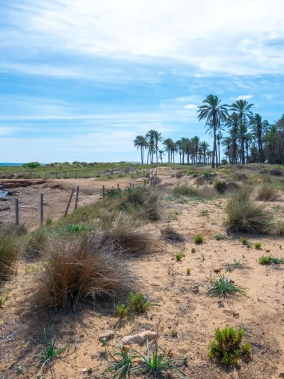 Cala Ferris, Torrevieja