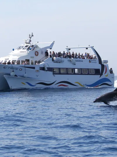 Barco a Tabarca