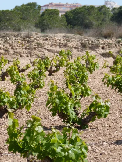 Parque Natural de La Mata 