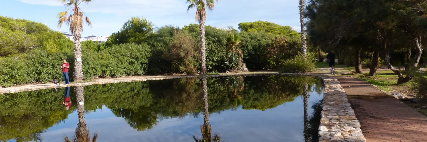Lago del Molino del Agua