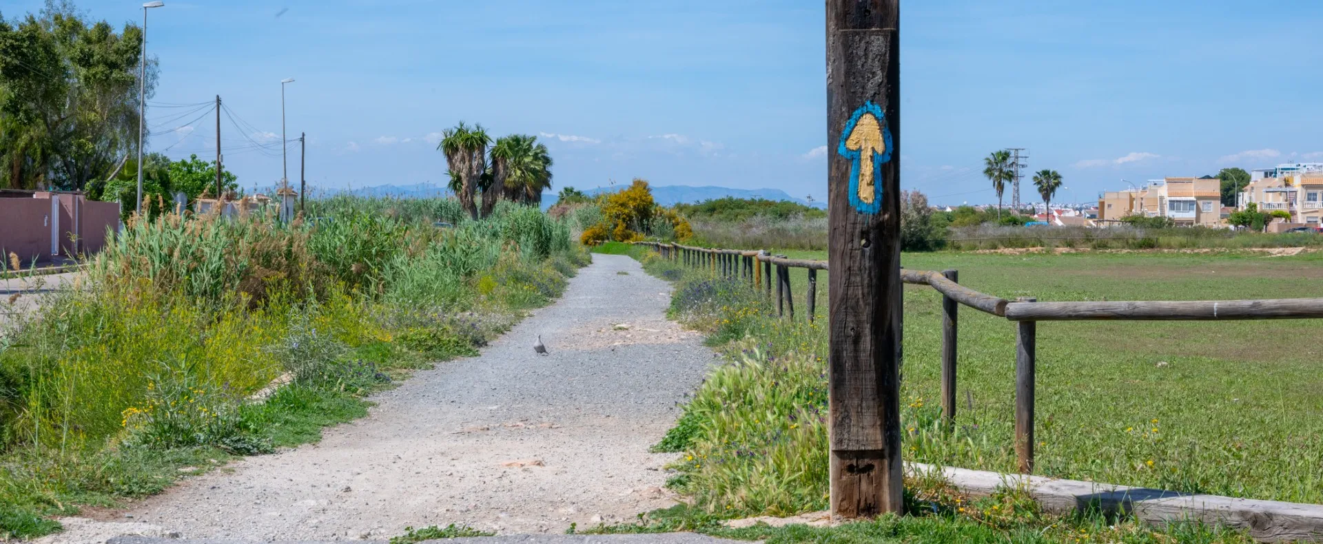 Via Verda de Torrevieja